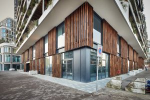 Wonderwoods unit 1